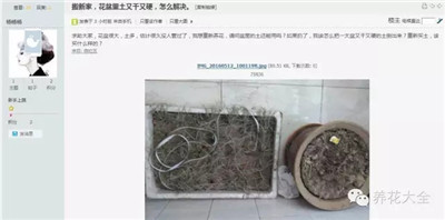 土壤板結怎么辦
