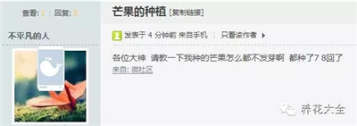芒果種子怎么種？