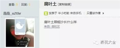 腐葉土和粗砂怎么區(qū)分？