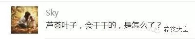 蘆薈葉子干怎么弄？