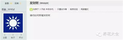 發(fā)財樹怎么養(yǎng)？