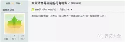 哪些植物耐陰？