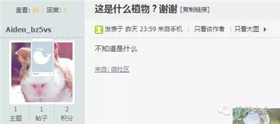 求植物名稱？