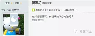 薔薇白粉病怎么辦？