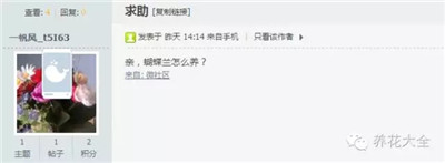 蝴蝶蘭怎么養(yǎng)？