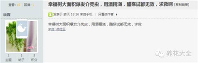 大面積的蚧殼蟲如何治療？