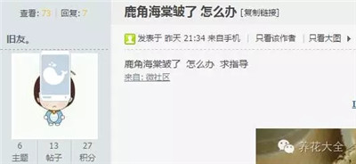 鹿角海棠皺了怎么辦？