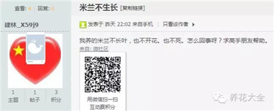  米蘭不生長？