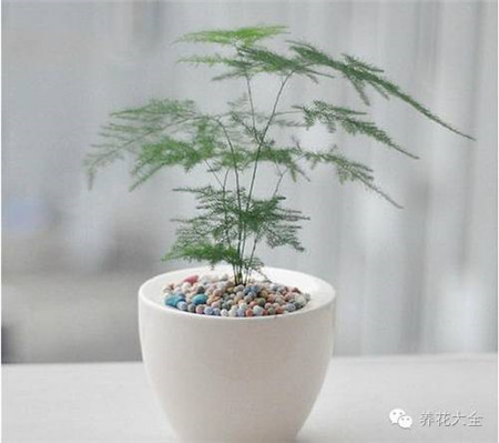 煙塵太多